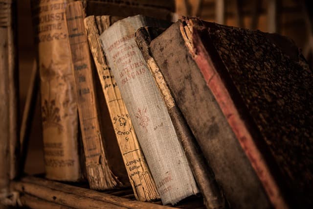 Le biblioteche più belle d’Italia: templi del sapere da visitare