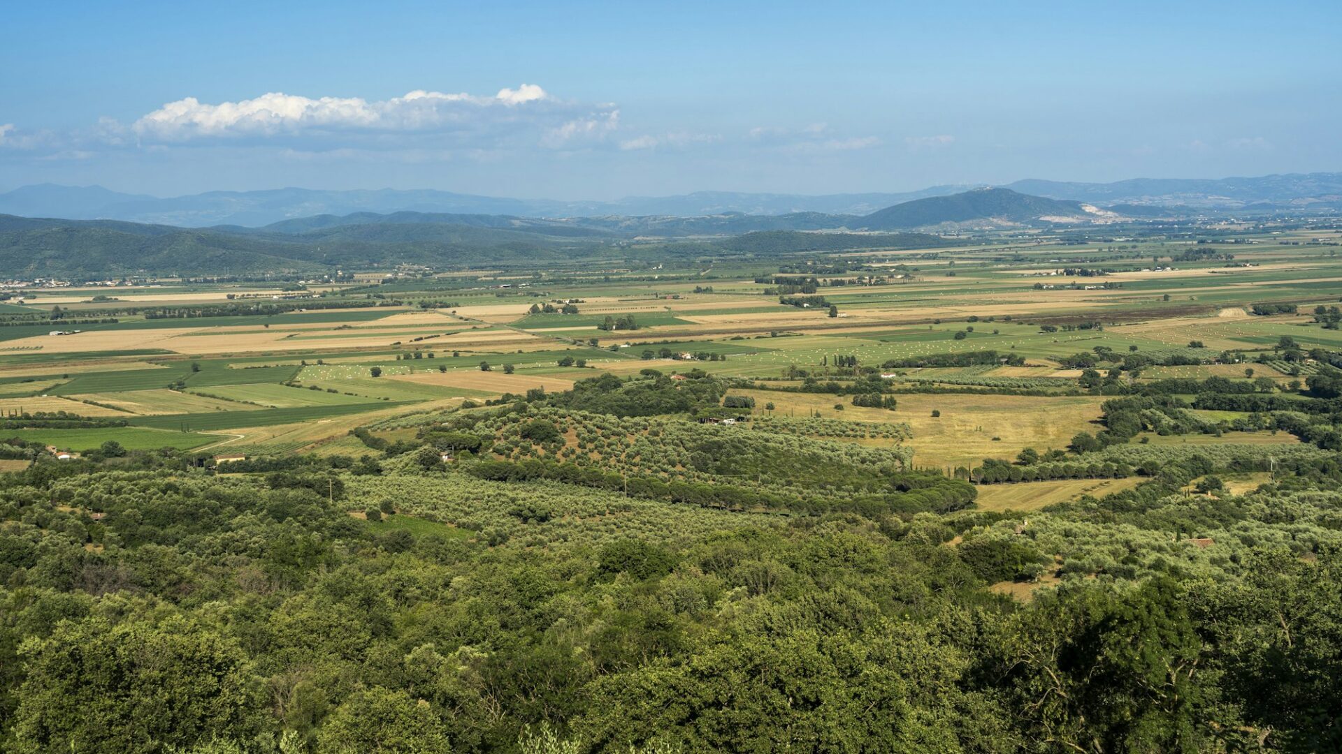 Maremma
