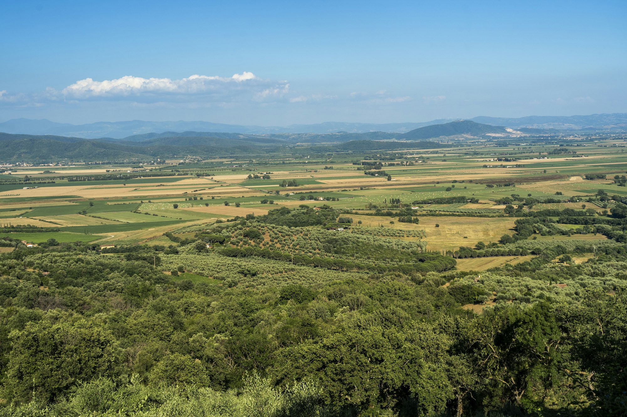Maremma