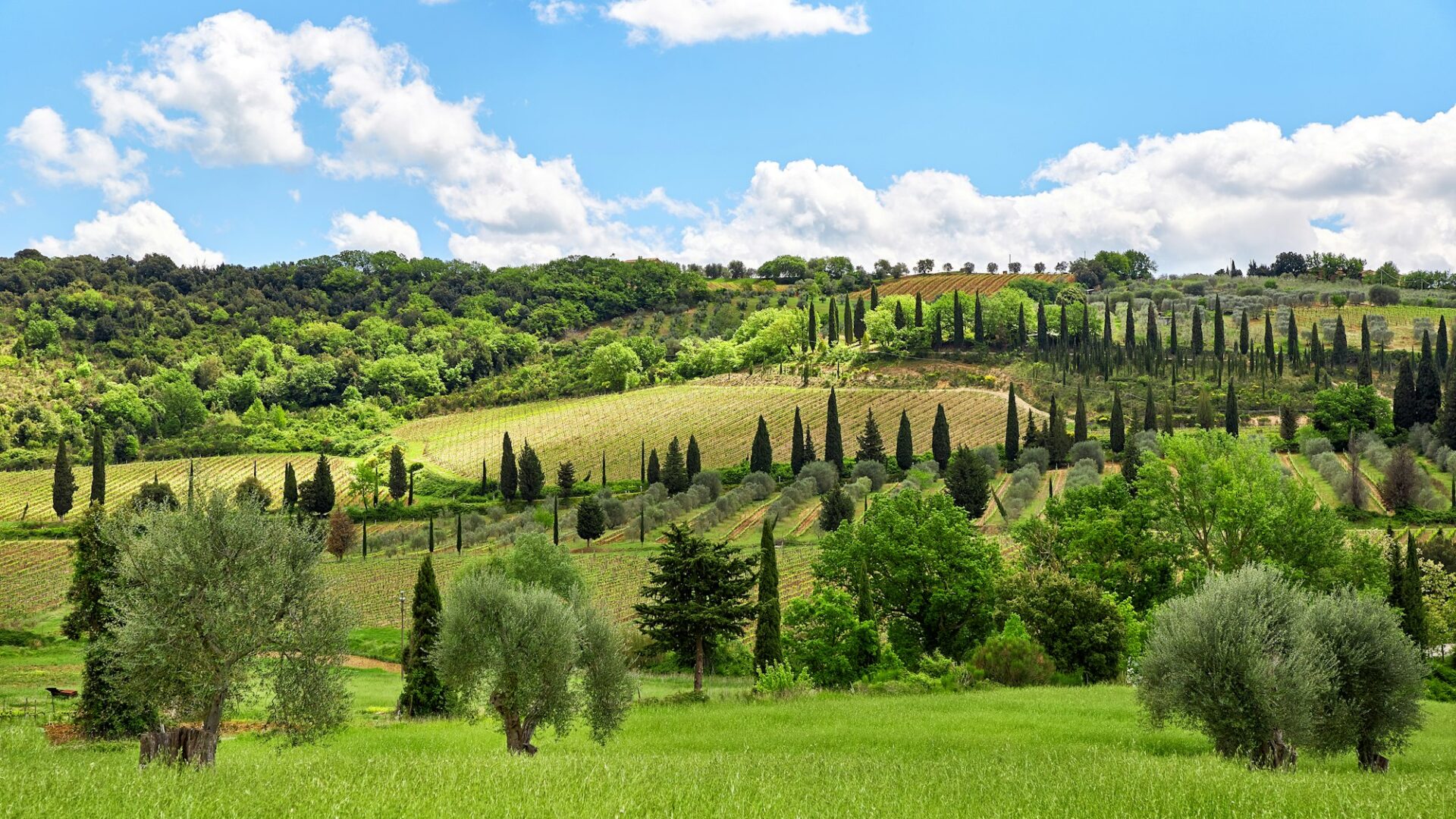 Tuscany landscape, Toscana, Italy