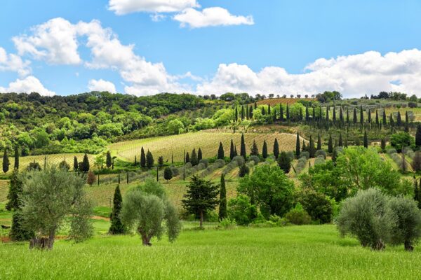 Paysage de Toscane, Toscane, Italie