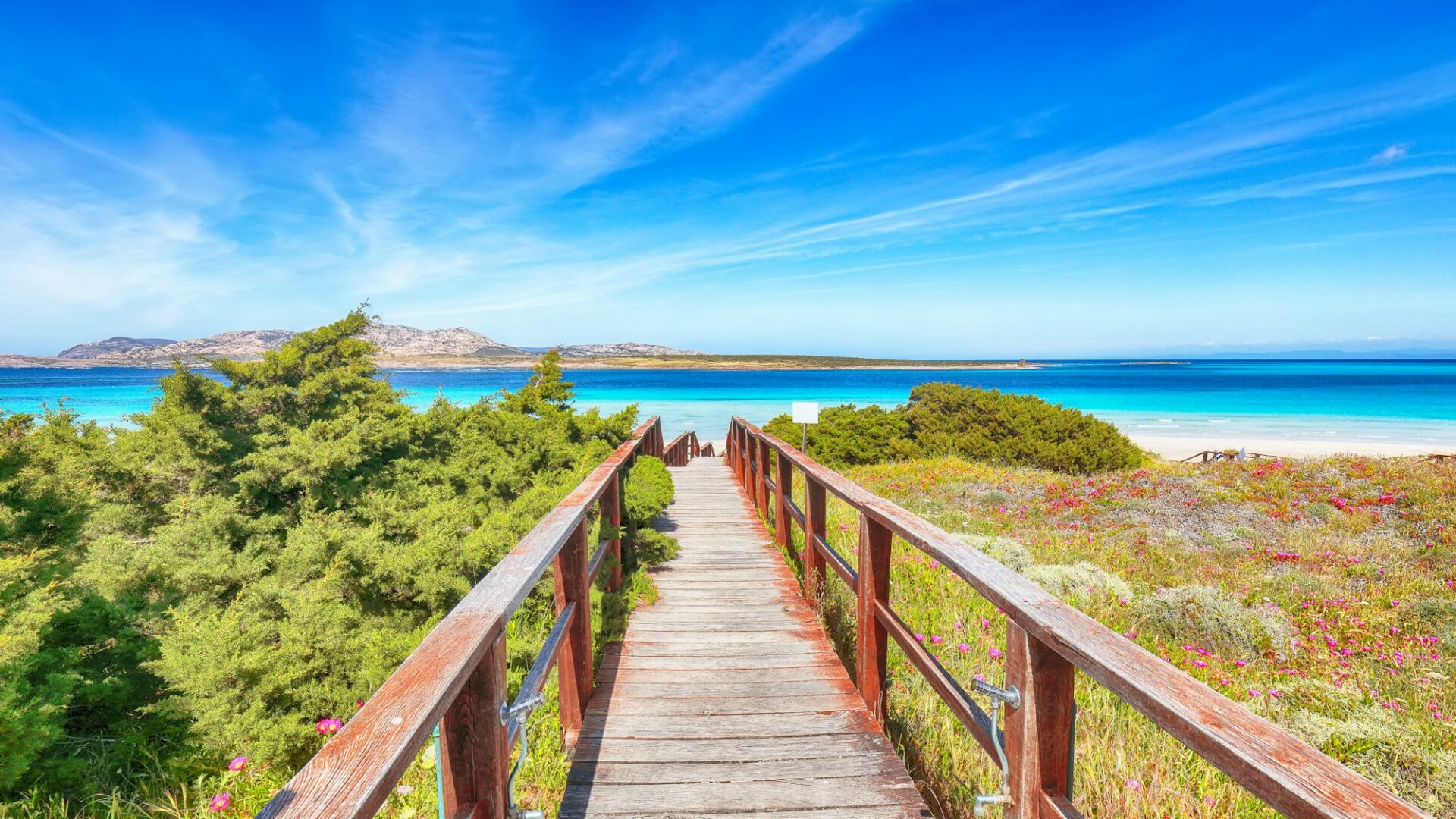 Wonderful view of Famous La Pelosa beach (Spiaggia della Pelosa) with wooden footbridge