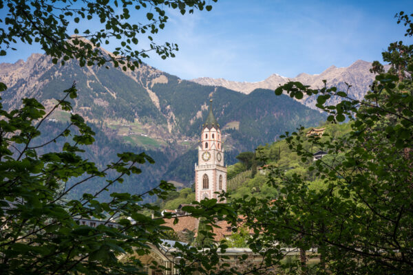 Campanile in montagna tra alberi e foglie.