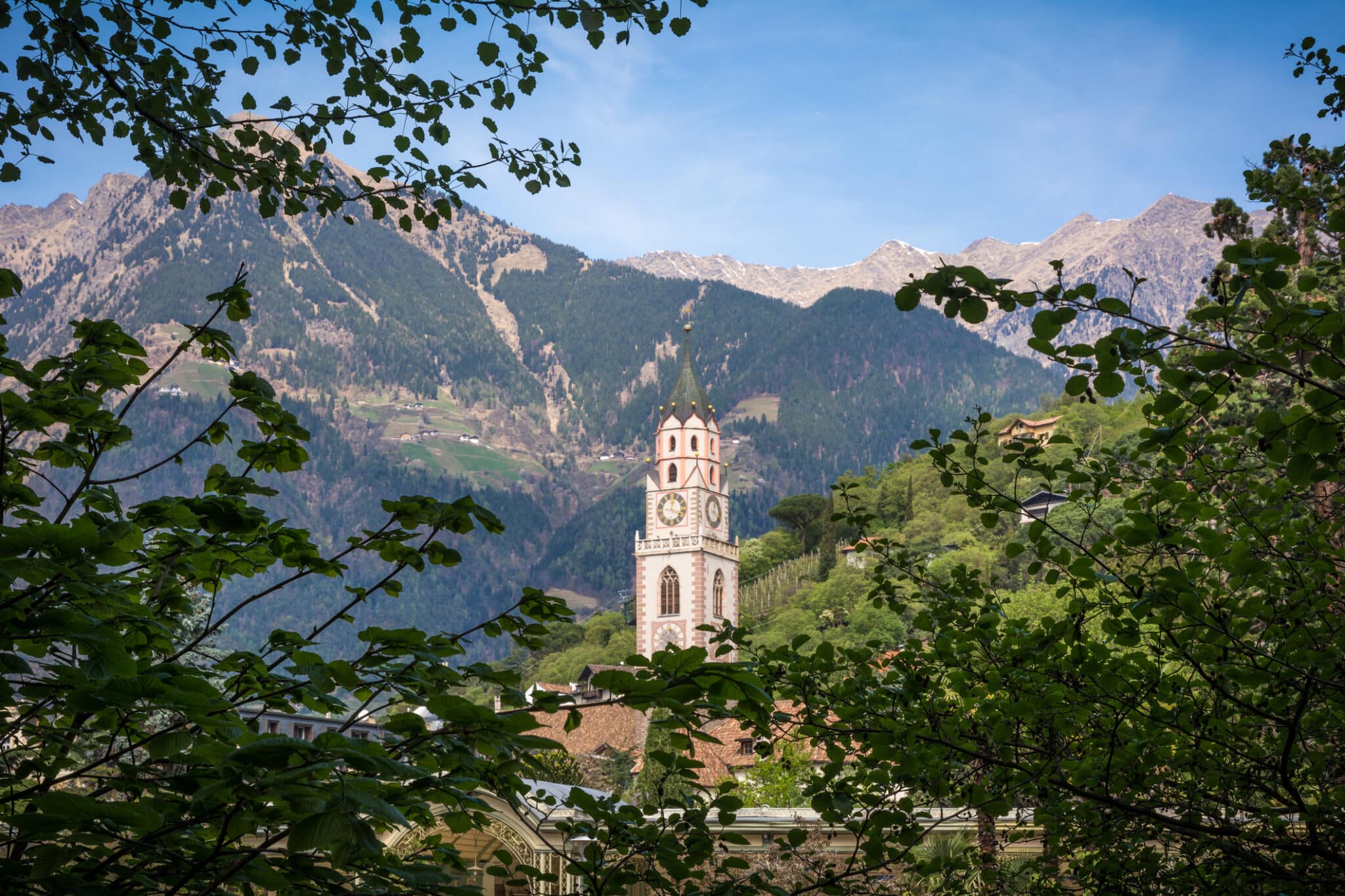 Campanile in montagna tra alberi e foglie.