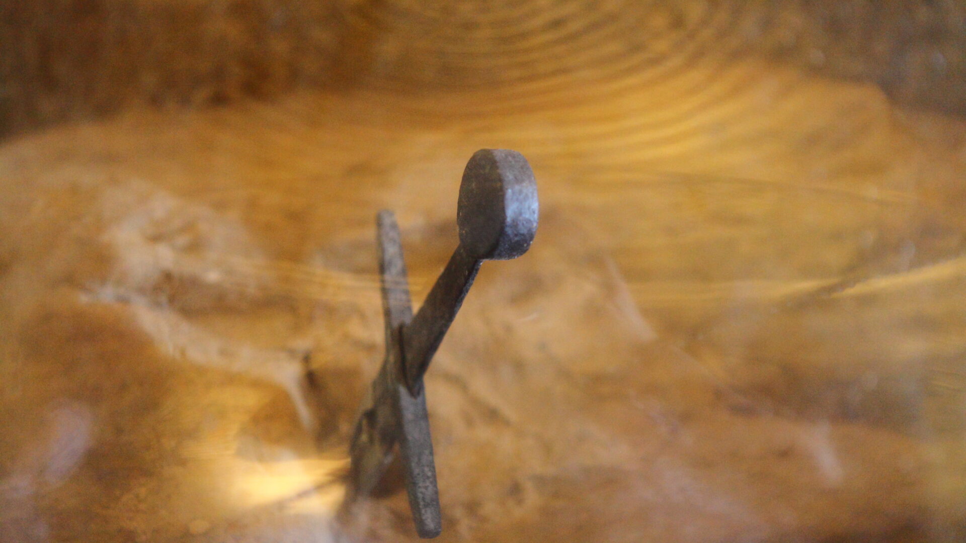 Chiodo arrugginito incastonato nel legno.
