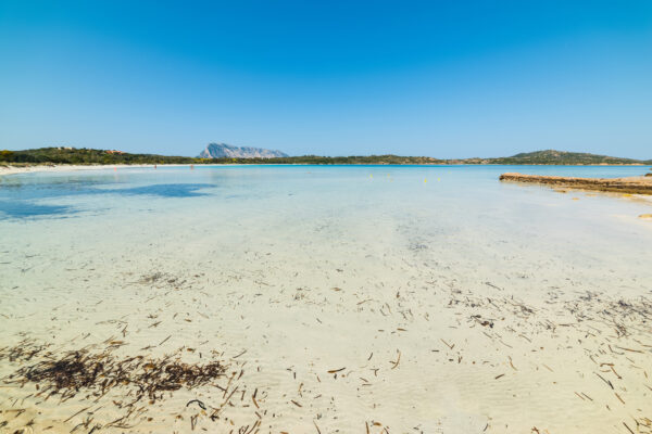 Spiaggia sarda con acqua cristallina e montagne.