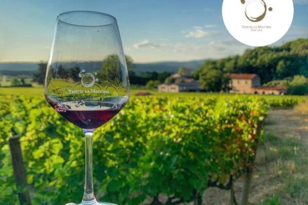 一杯红酒，背景是葡萄园。