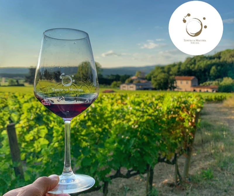 Bicchiere di vino rosso, vigneto sullo sfondo.