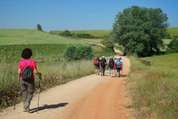 Group of pilgrims walking along the Camino de Santiago in Spain