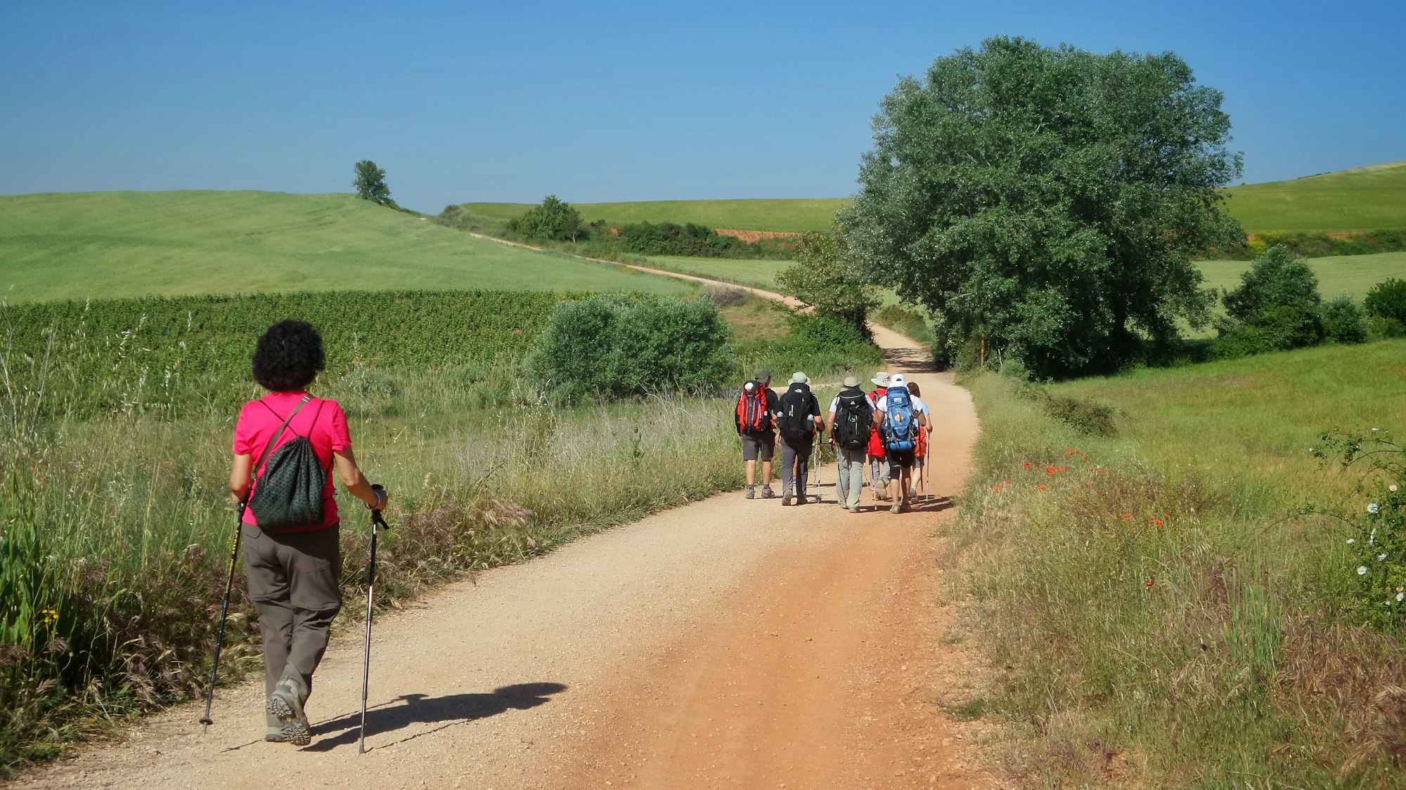 Group of pilgrims walking along the Camino de Santiago in Spain