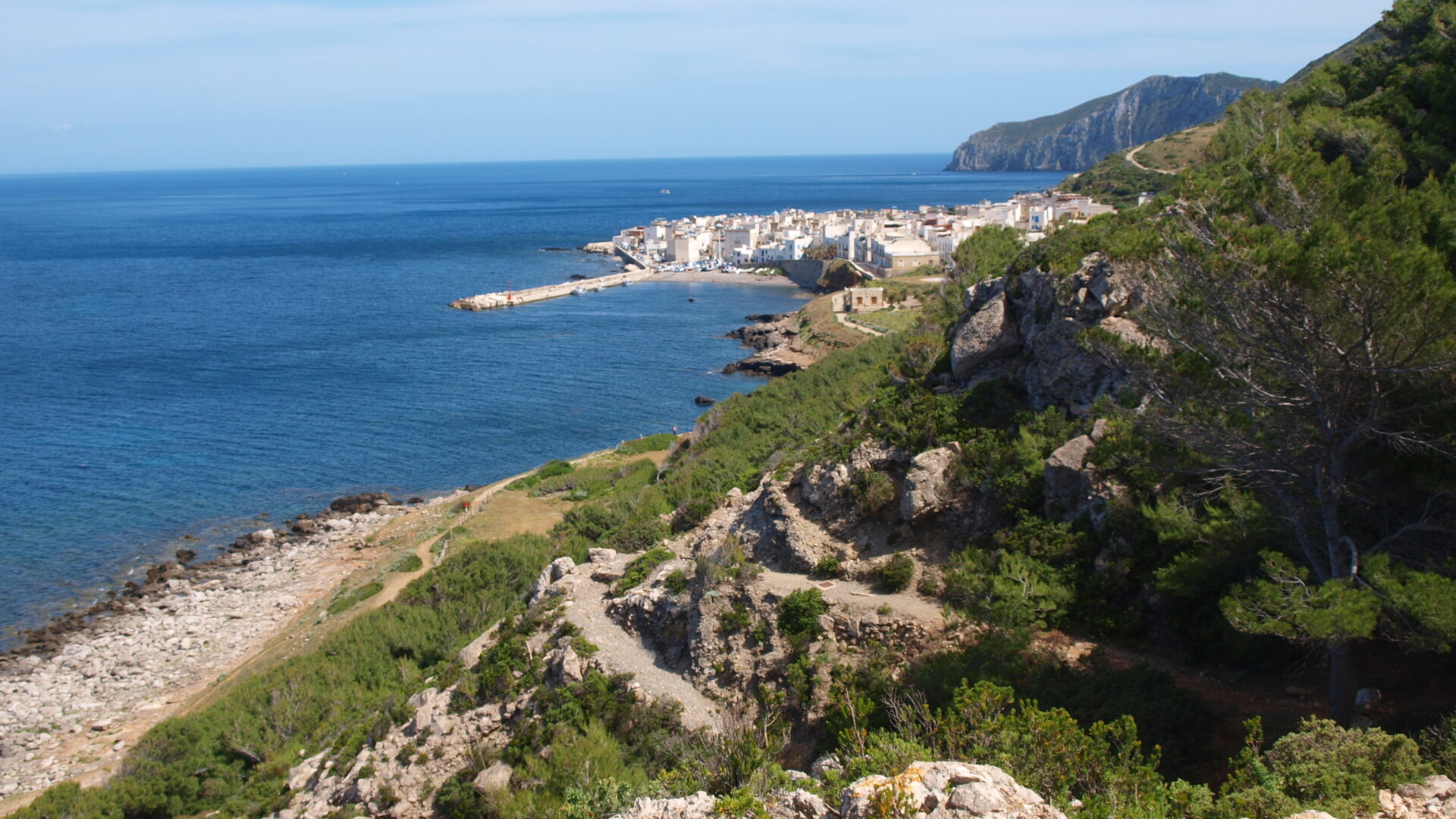 Vista panorámica de la costa mediterránea con vegetación.