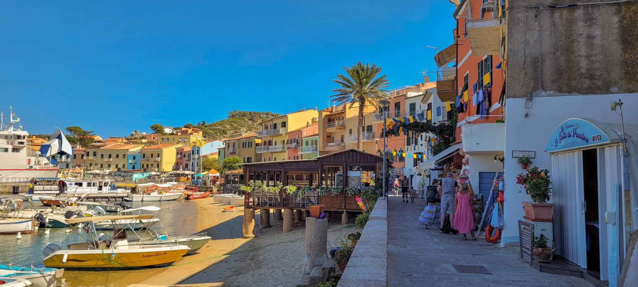 vista di Giglio Porto con barche, persone, negozi ed edifici