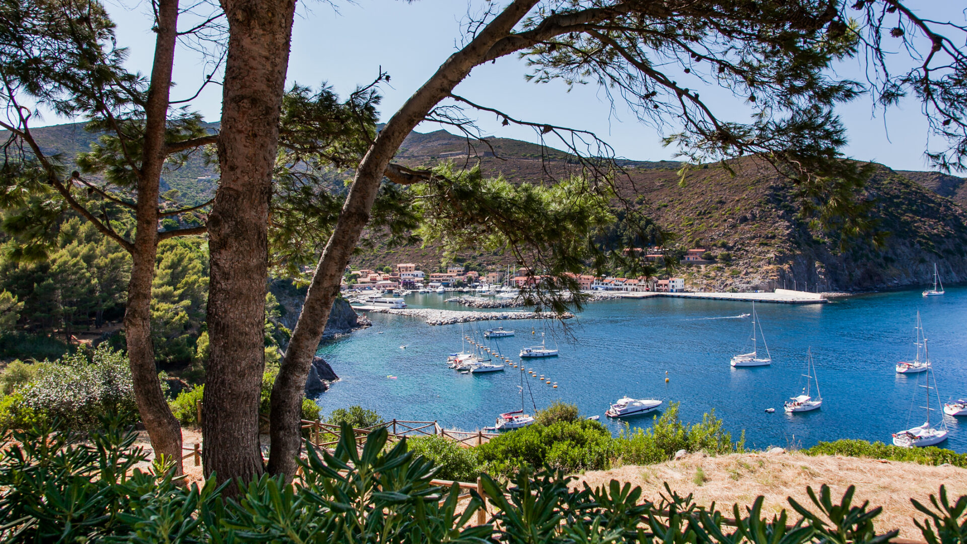 isola di capraia, parco nazionale dell'arcipelago toscano, toscana, italia marina barche