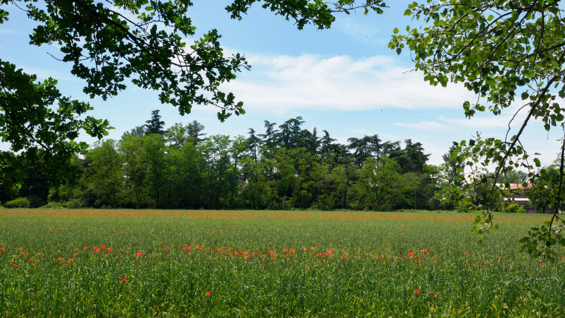 parco nord di milano