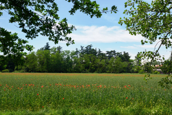parco nord di milano