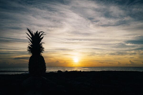 Aperitivo al tramonto: i 10 rooftop bar più scenografici d’Italia