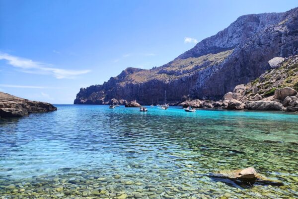 Le strade del vino in Italia: itinerari enogastronomici imperdibili 2024