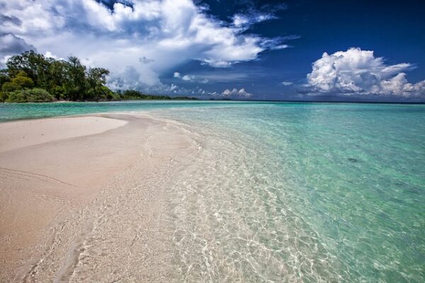 Spiaggia tropicale con mare cristallino e cielo azzurro.