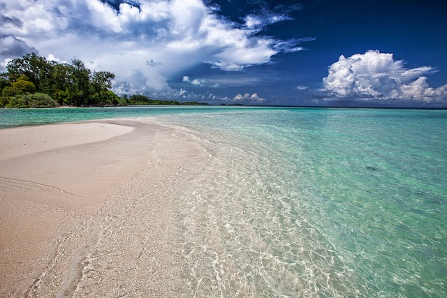 Spiaggia tropicale con mare cristallino e cielo azzurro.