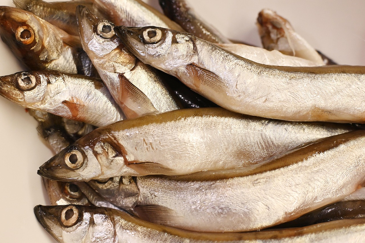 Pesce fresco in Italia: guida ai mercati ittici e ai ristoranti sul porto 2025