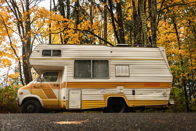 Camper vintage su strada autunnale con alberi.