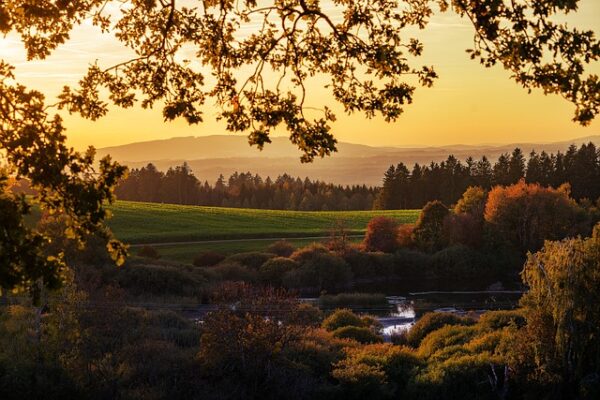 Paesaggio autunnale al tramonto con alberi e campo