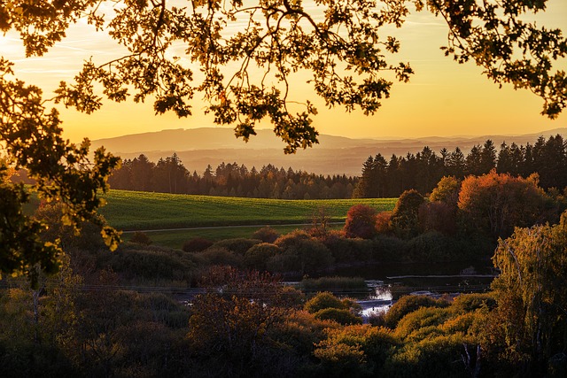 Paesaggio autunnale al tramonto con alberi e campo