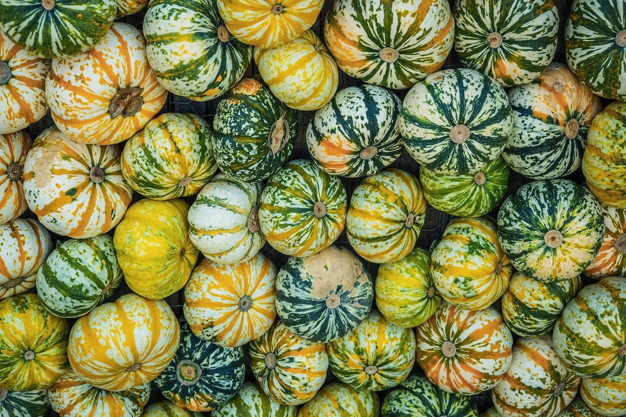 Zucca italiana: varietà regionali e ricette autunnali da provare 2025