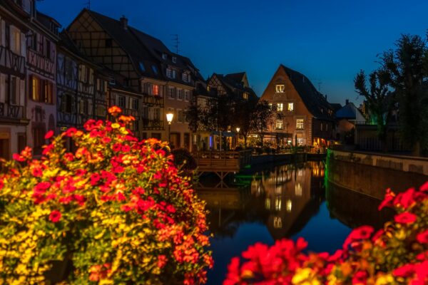 Paesaggio urbano notturno con fiori e case illuminate.