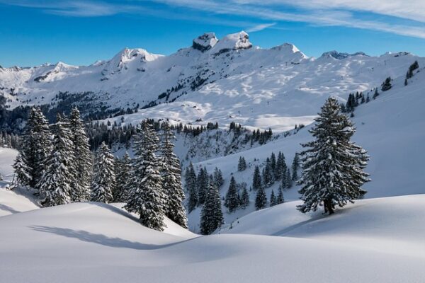Montagne innevate con alberi e cielo blu.