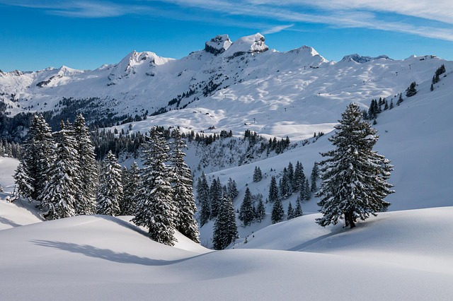 Montagne innevate con alberi e cielo blu.