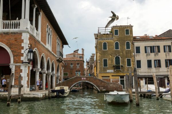 Canale veneziano con ponte e gabbiani