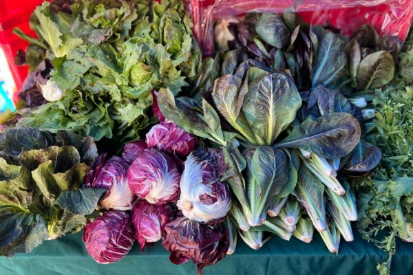 Verdure fresche sul banco del mercato