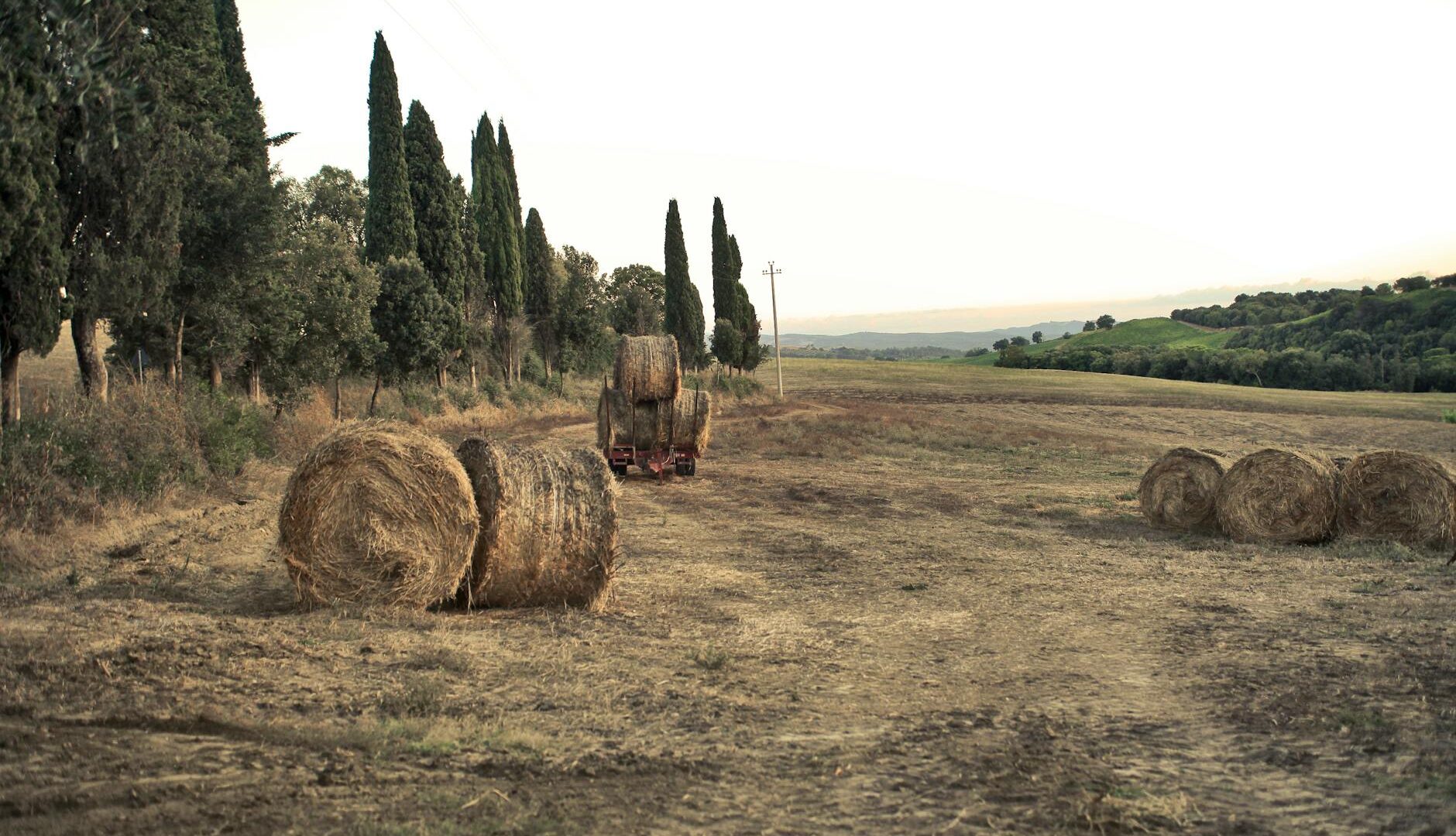 Balle di fieno su un campo toscano al tramonto.