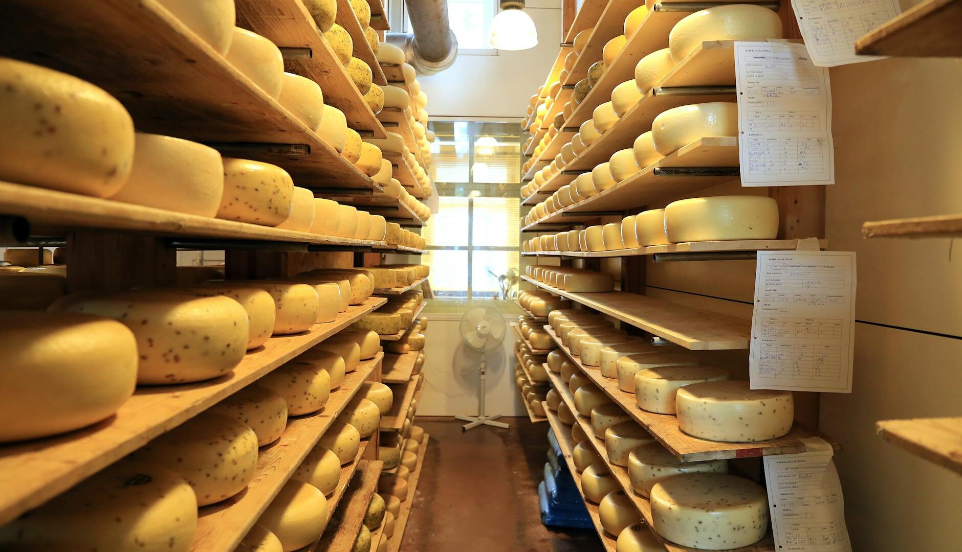 Käsefestival 2026 a Campo Tures: tre giorni nel cuore del formaggio alpino in Valle Aurina