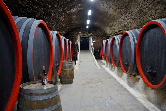 Cantine sotterranee d’Italia: degustazioni nei sotterranei storici