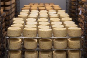 Formaggi a latte crudo: i tesori caseari italiani da scoprire