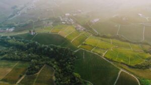 Gite enogastronomiche da Milano a maggio 2026: sagre di vino, asparagi e speck tra Piemonte e Trentino