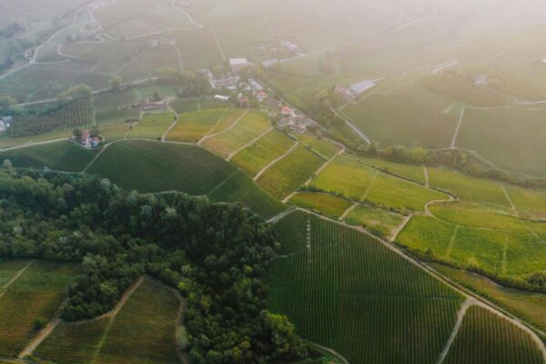 Gite enogastronomiche da Milano a maggio 2026: sagre di vino, asparagi e speck tra Piemonte e Trentino