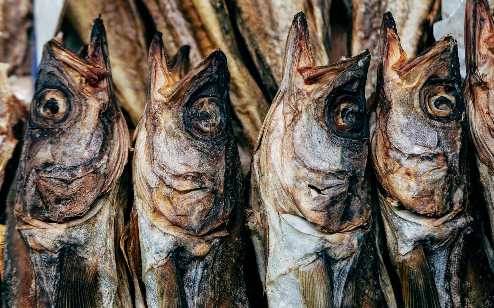 Pesci conservati nella cucina italiana: baccalà, stoccafisso e le ricette della tradizione per l’estate 2026