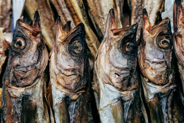 Pesci conservati nella cucina italiana: baccalà, stoccafisso e le ricette della tradizione per l’estate 2026