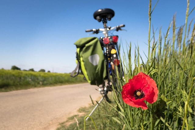 Cicloturismo in famiglia: percorsi facili e sicuri in Italia