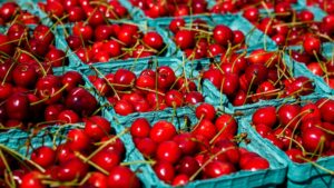 Sagre di giugno: il calendario enogastronomico definitivo – Ciliegie, vini rosati e piatti regionali nei principali eventi 2026