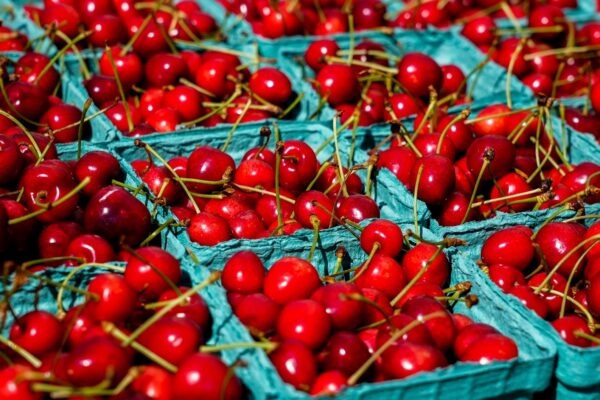 Sagre di giugno: il calendario enogastronomico definitivo – Ciliegie, vini rosati e piatti regionali nei principali eventi 2026