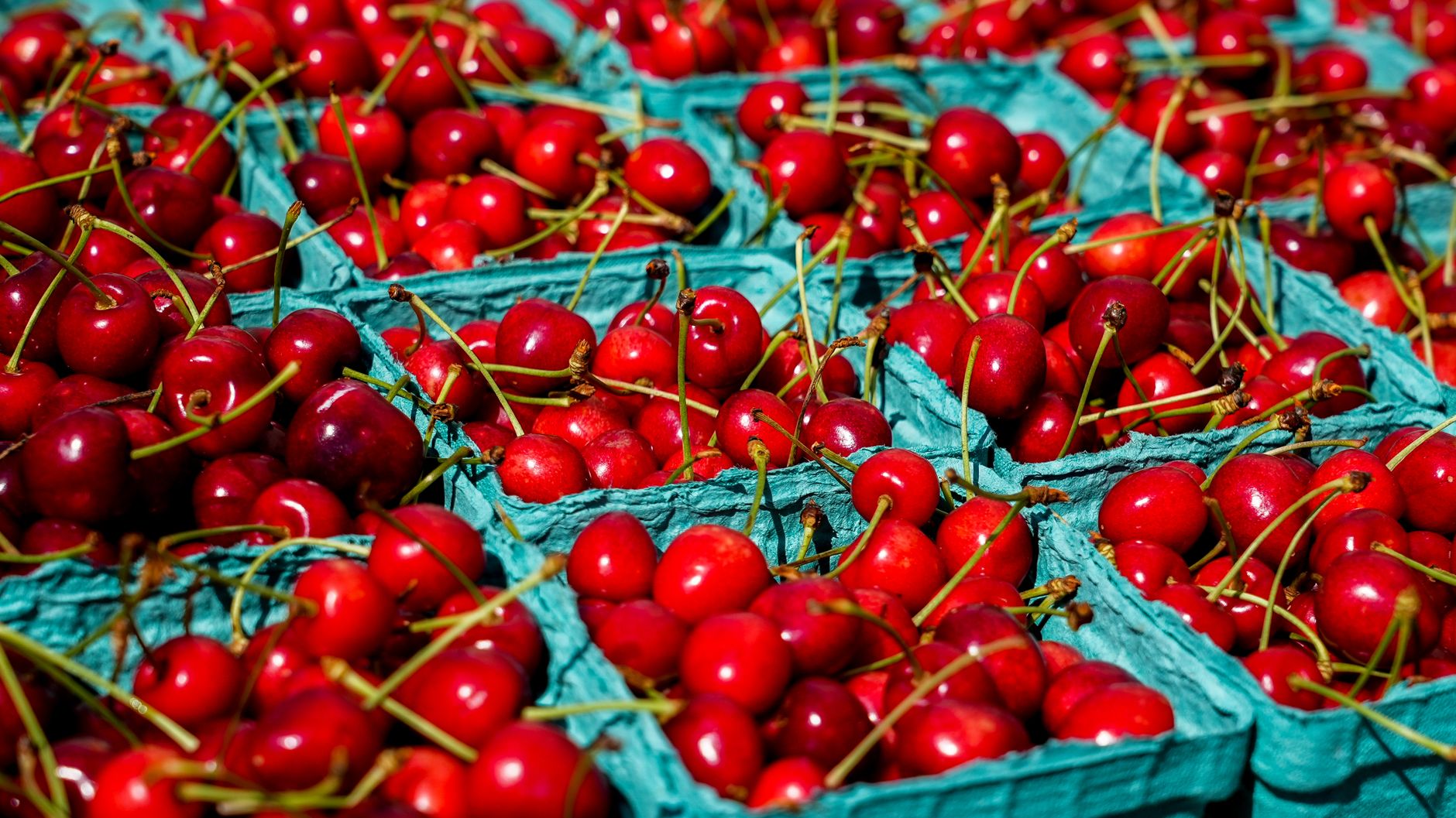 Sagre di giugno: il calendario enogastronomico definitivo – Ciliegie, vini rosati e piatti regionali nei principali eventi 2026
