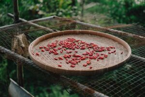 La cucina calabrese: ‘nduja, peperoncino e sapori forti del Sud