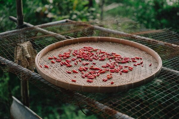 La cucina calabrese: ‘nduja, peperoncino e sapori forti del Sud