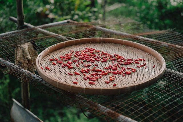 La cucina calabrese: ‘nduja, peperoncino e sapori forti del Sud