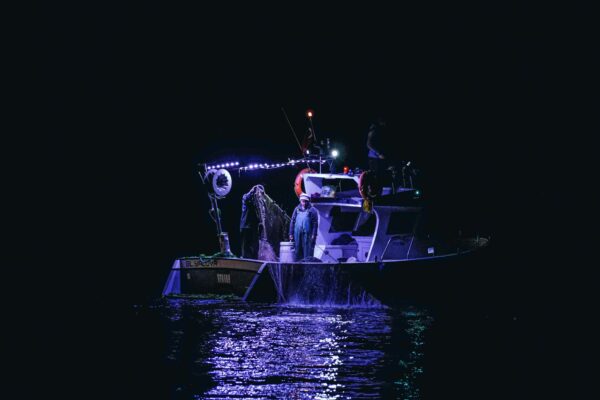 Notte delle Lampare a Cetara: il rito antico della pesca notturna e l’esperienza autentica del borgo costiero