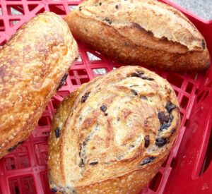 Pane italiano regionale: dalla focaccia al pane di Altamura